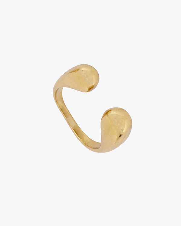 Anillo Dual