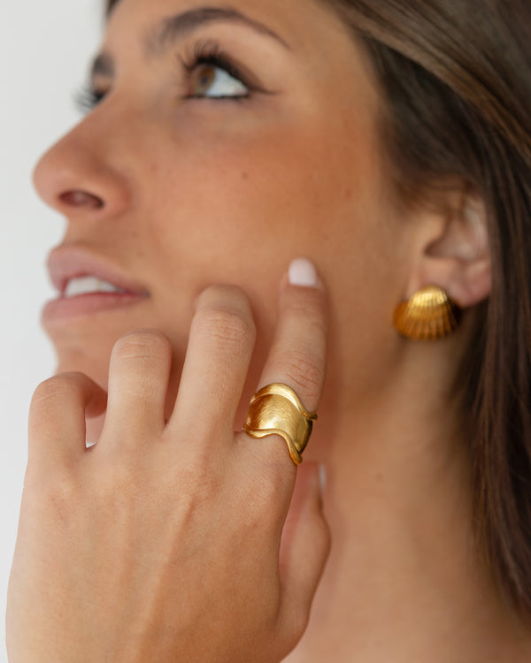 Anillo Senda