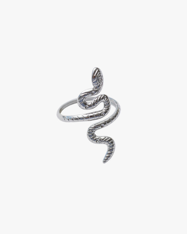 Anillo Snake